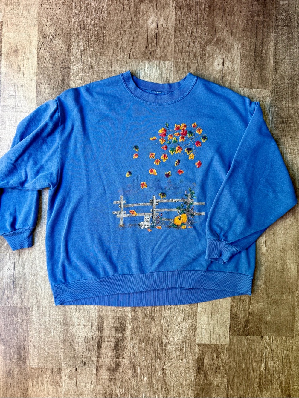 Vintage Autumn Fall Graphic Sweatshirt Blue Cat Pumpkin Leaves Fence